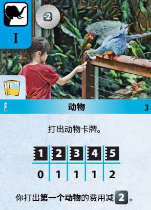 动物 -2C（Discount Animals）