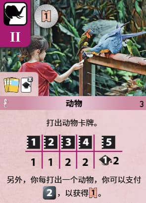 动物 -2C（Discount Animals）